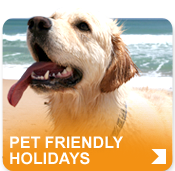 Self Catering IOW